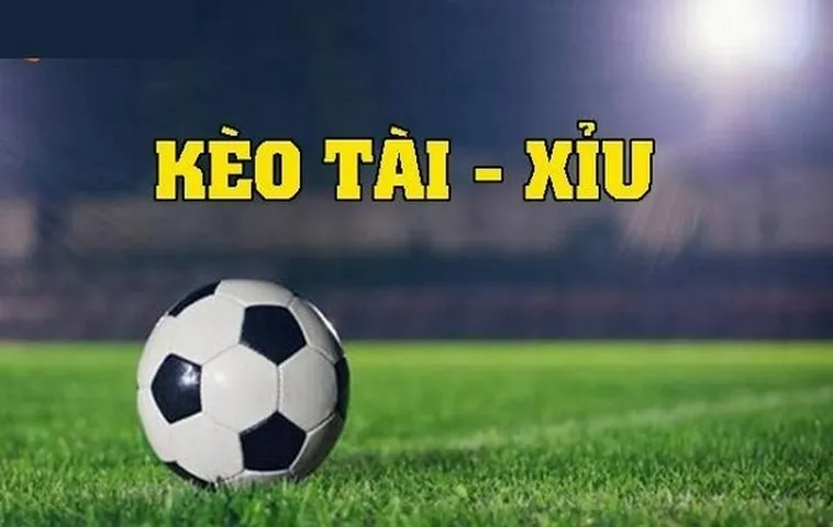 Dự đoán tổng số bàn thắng của trận đấu sẽ lớn hơn hay nhỏ hơn con số nhà cái đưa ra.