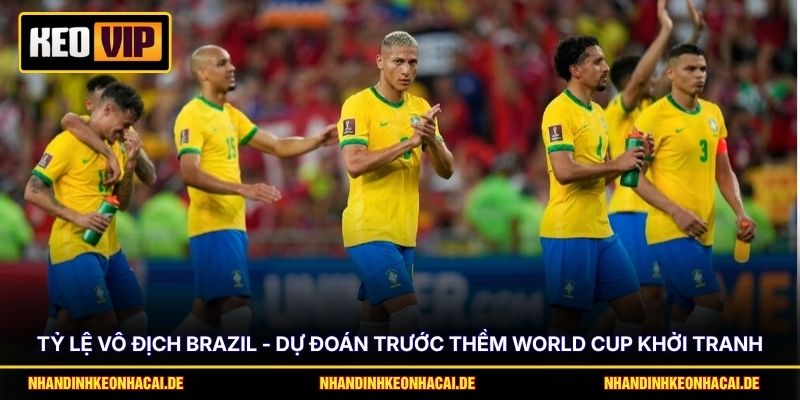 Tỷ Lệ Vô Địch Brazil - Dự Đoán Trước Thềm World Cup Khởi Tranh