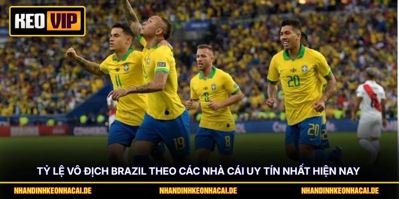 Tỷ lệ vô địch Brazil theo các nhà cái uy tín nhất hiện nay